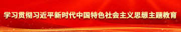 喜欢日嫩b学习贯彻习近平新时代中国特色社会主义思想主题教育